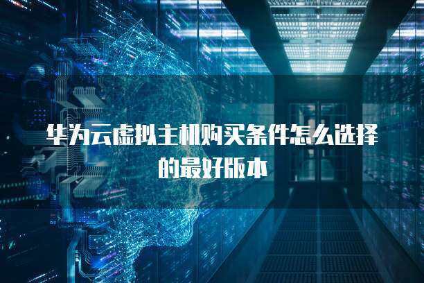 如何選擇最適合個人互聯(lián)網(wǎng)服務(wù)的虛擬主機(jī)購買條件與設(shè)置指南